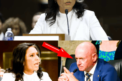 Tulsi Gabbard makes Mark Kelly look like a CLOWN when she refuses to play his silly games