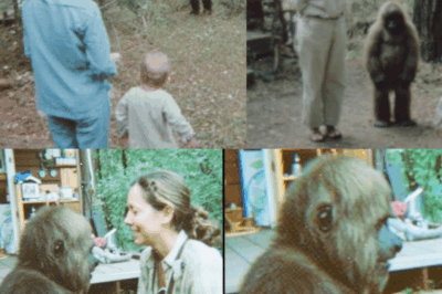 Woman Meets a Talking Bigfoot Child, Then Something Amazing Happened – Sasquatch Story