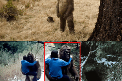 PART 3: I Found Out What Bigfoot Does With Human Bodies – Terrifying Sasquatch Discovery