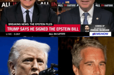 Schiff Warns of DOJ Obstruction as Trump Signs Epstein Files Bill