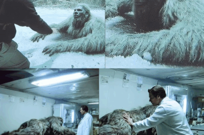 This Scientist Learned Bigfoot’s Real Origin, What He Discovered Will Shock You – Sasquatch Story