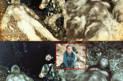 Hunter Found a Rotting Bigfoot, And What Was Inside Him Will Shock You – Sasquatch Encounter Story