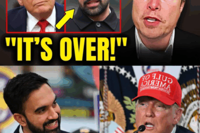Mamdani Just FOLDED & Tries to Build ‘Good Relationship’ With Trump! | Elon Musk
