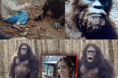 Bigfoot Can Talk – This Woman Captures Terrifying Footage of a Talking Sasquatch