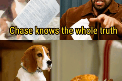 Outback ruins Quartermaine’s Thanksgiving feast with a truth for Chase General Hospital Spoilers