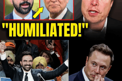 Mamdani Voters Find Out They’ve Been TRICKED & Schumer Just Got Humiliated By Own Party! | Elon Musk