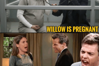 Willow is pregnant, Drew is forced to do shocking action ABC General Hospital Spoilers