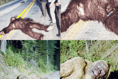 PART 3: GIANT SASQUATCH ROADKILL!! | Giant Bigfoot Creature Hit By Truck At 80 MPH