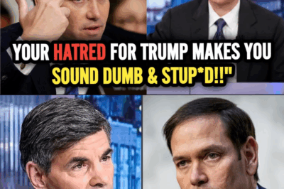 Trump’s Sec. Of State Marco Rubio OPENLY SHUTS UP WOKE TV Host George Stephanopoulos over USAID LIES