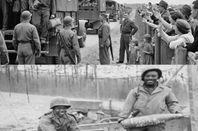 Why German POWs Begged America to Keep Them After WW2