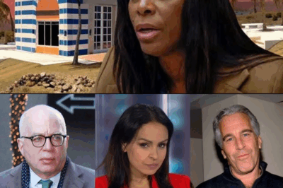 Democrats Epstein Attack On Trump Backfires on Them