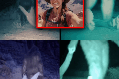 Over 1000 Hikers Went Missing, Then Trail Cam Caught Bigfoot Dragging Bodies | Bigfoot Story