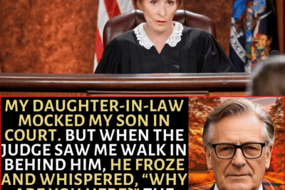 When I Walked Into The Courtroom, The Judge Was Shocked “Why Are You Here”