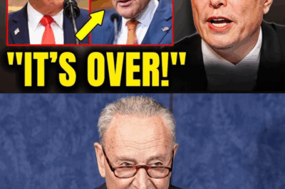 Trump Just WON Shutdown?! Putting An End To Schumer BURNING $90 Billion! | Elon Musk
