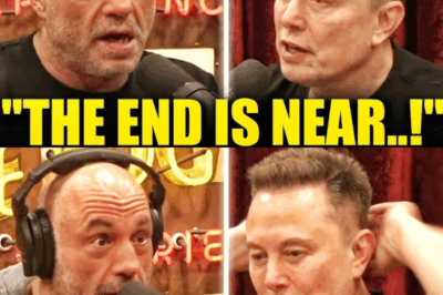 “I Tried To Warn Everyone” – Elon Musk TERRIFIES Joe Rogan