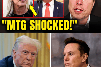 Most People Have No Idea What Trump’s MTG Response Really Means – Until Now! | Elon Musk