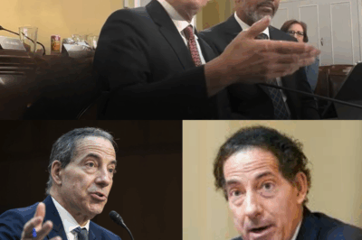 WATCH: Jamie Raskin Gives Senate Republicans EXACTLY What They Deserve