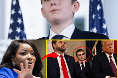 Let Me Explain What’s Really Happening to Barron Trump — This Should Concern All of Us