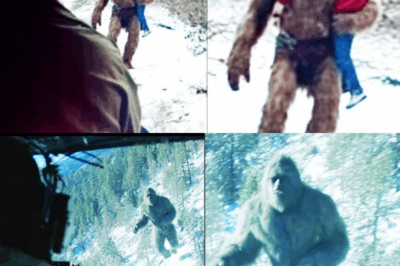 Helicopter Pilot Films GIANT SASQUATCH Before Its Attack – Bigfoot Story