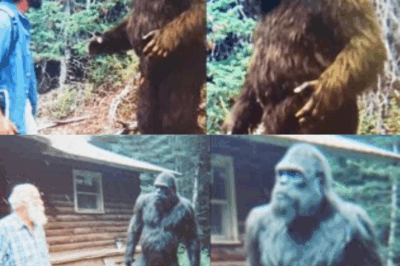 Ranger Heard Bigfoot Finally Speak About Humans, What He Said Will Shock You! – Sasquatch Story