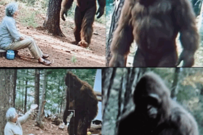 This Woman Met a Talking Sasquatch – Terrifying Bigfoot Story Finally Leaked