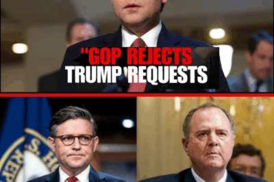 Schiff CORNERS MAGA Mike Over Thune Humiliation — Senate REJECTS Demands | Brian Tyler Cohen