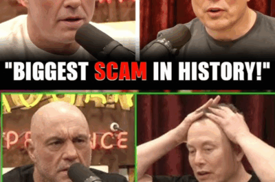 Joe Rogan Realizes Elon Musk Has EXPOSED the Biggest Scam in Political History