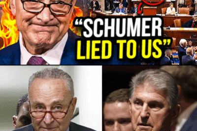 Schumer STUNNED as Democrat Senator BETRAYS Him Live On The Senate Floor!!!!