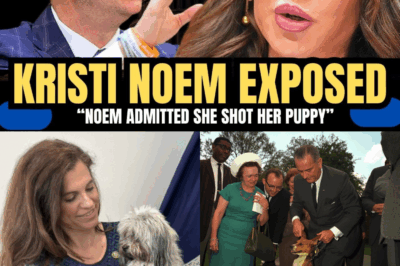 Moskowitz Drops Kristi Noem’s Puppy Story in Congress — Tension EXPLODES