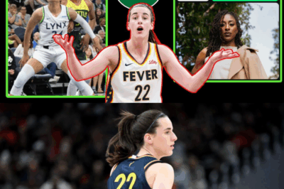 Caitlin Clark’s Career Hangs in the Balance as Nneka and Napheesa Clash Over Conflicts of Interest