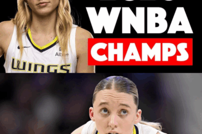The NEW CBA Contracts Could CHANGE the Entire WNBA…