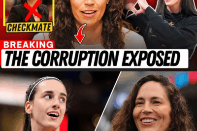 Sue Bird JUST DESTROYED the Committee That Blocked Caitlin Clark — WNBA Establishment EXPOSED