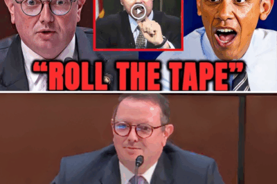 Eric Burlison Blasts Democrats for Abandoning Reform—Elon Musk Reveals Why Government Fraud May Never Die