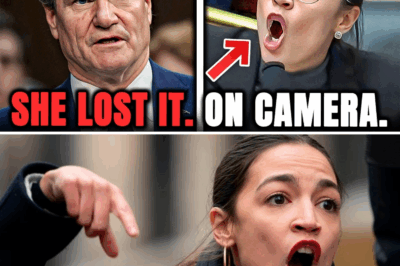 Bank CEO Leaves AOC So Lost She Can’t Finish a Question