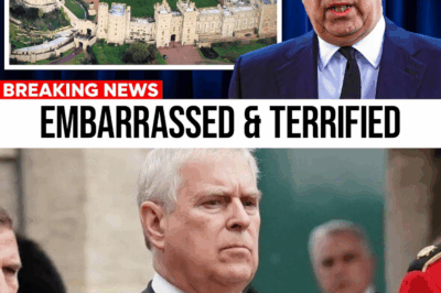 Andrew’s Windsor Castle Humiliation EXPOSED: How One Unexpected Blow Sent Him Spiraling