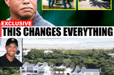 What They Found in the Secret Vault Under Tiger Woods’ Island Mansion Left Everyone Silent