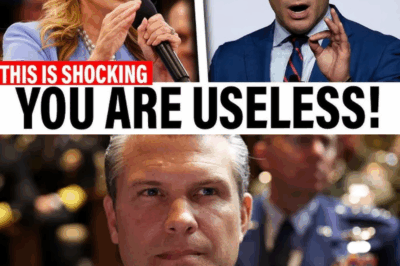 Pete Hegseth Stunned After Being Called “Useless” on Live TV—Congressional Grilling Turns Into Viral Meltdown