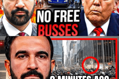 FULL-PANIC in NYC! Mamdani’s Free-Bus SCAM and Trump Attack Just BLEW UP in His Face!!!