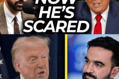 Zohran Mamdani Humiliated as Donald Trump Responds to His Threat