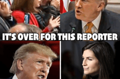 Trump DESTROYS Reporter With One Brilliant Line to Her Face on Live TV
