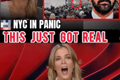 “Listen to the Fear”: Mamdani Clip Sparks Liberal Backlash as Megyn Kelly Segment Goes Viral