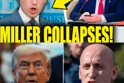 Trump Posts MELTDOWN As Miller COLLAPSES After Term Ending BLOW!