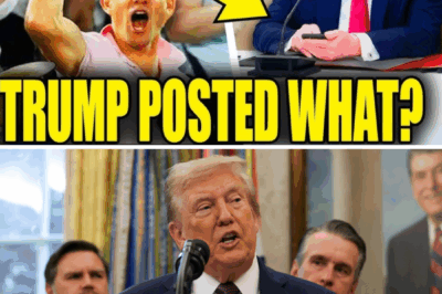 Fox News COLLAPSES ON AIR as Trump KILLS HIS TERM
