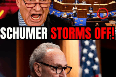 Schumer SNAPS on Live TV as SNAP Scandal BLOWS UP Democrats — ‘Schumer Shutdown’ Erupts!