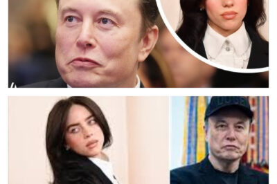 Elon Musk Reacts After Billie Eilish Calls Him “Pathetic”