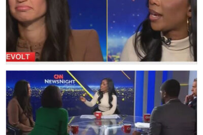 ‘Do you want to go there!’: Stephen Miller’s wife clashes with CNN host