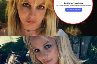 Britney Spears Deletes Instagram Account After Series of Cryptic Posts — Inside the Heartbreaking Truth Behind Her Silence