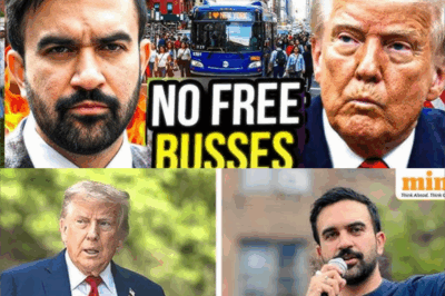 FULL-PANIC IN THE BIG APPLE: Mamdani’s Socialist Dream Collides with Economic Reality, Leaving Democrats in Meltdown
