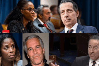 House Floor Explodes in Bitter Battle Over Censure: Raskin Defends Democrat Plaskett Against Charges of ‘Colluding Texts’ with Jeffrey Epstein, Citing Due Process Violations
