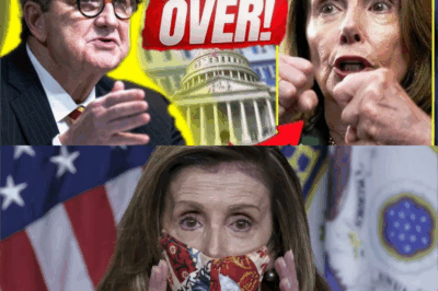 The Collapse of Elitism: How a ‘Simple Country Lawyer’ Systematically Dismantled Nancy Pelosi’s Empire